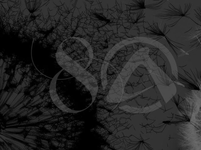 Aawen Eightwire join forces. Sowing seeds for the future